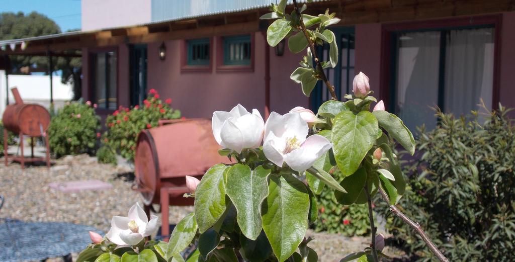 Posada Caracoles Puerto Pirámides Værelse billede